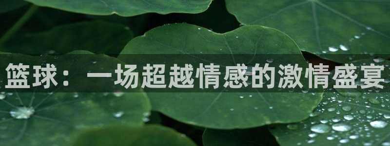 悟空体育平台下载安装：篮球：一场超越情感的激情盛宴
